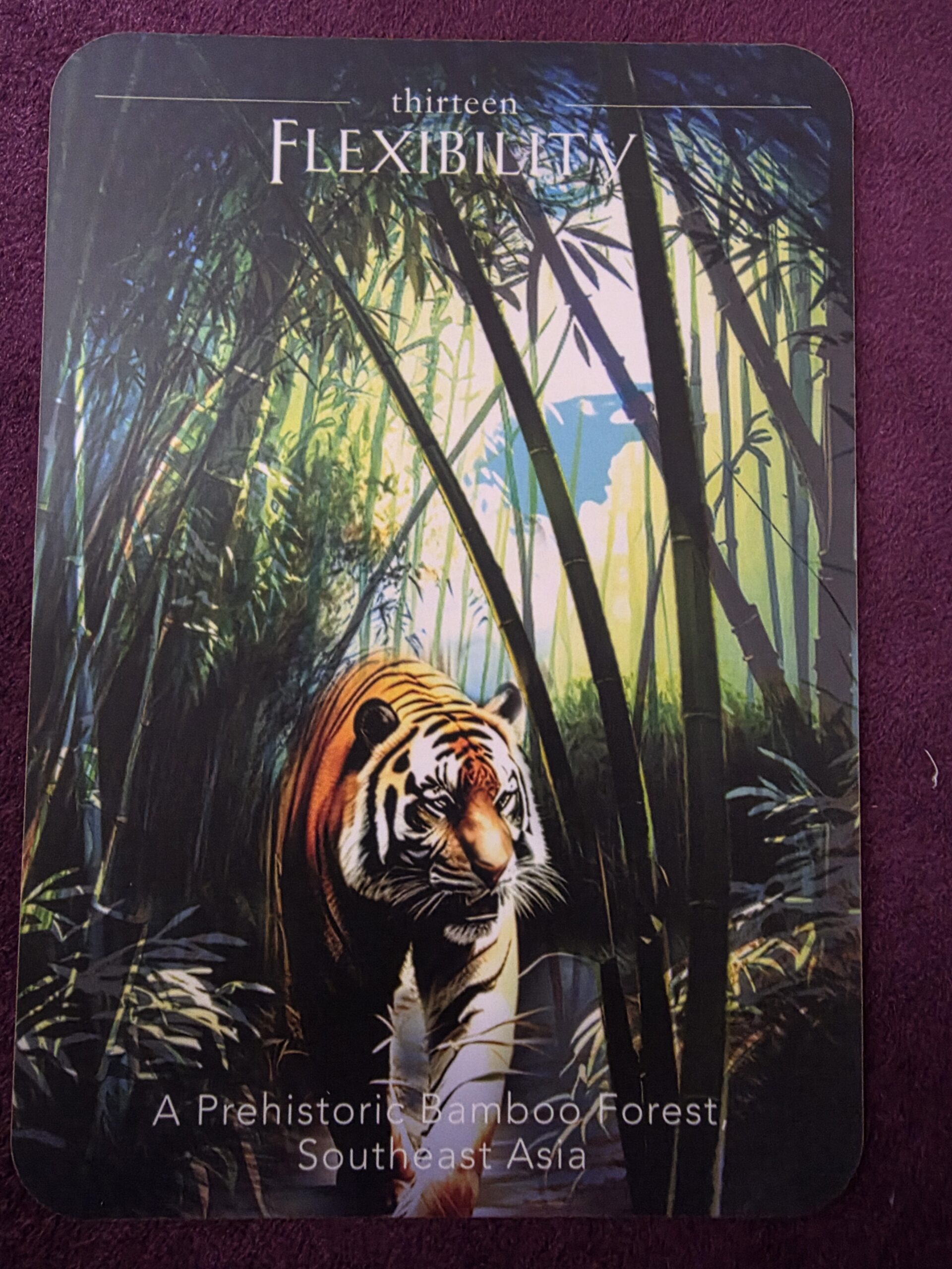 タイムトラベラーズオラクル　デザイン